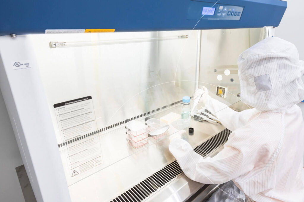 A scientist in a cleanroom suit working in a laboratory laminar flow hood, exemplifying SCIRENT's high standards in cardiovascular cell therapy trials.